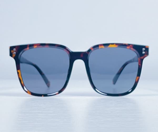 SPTR2145 HVN-Leopard